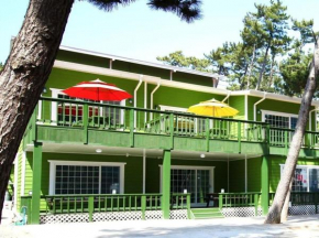 Pine Fragrance Green Pension Taean